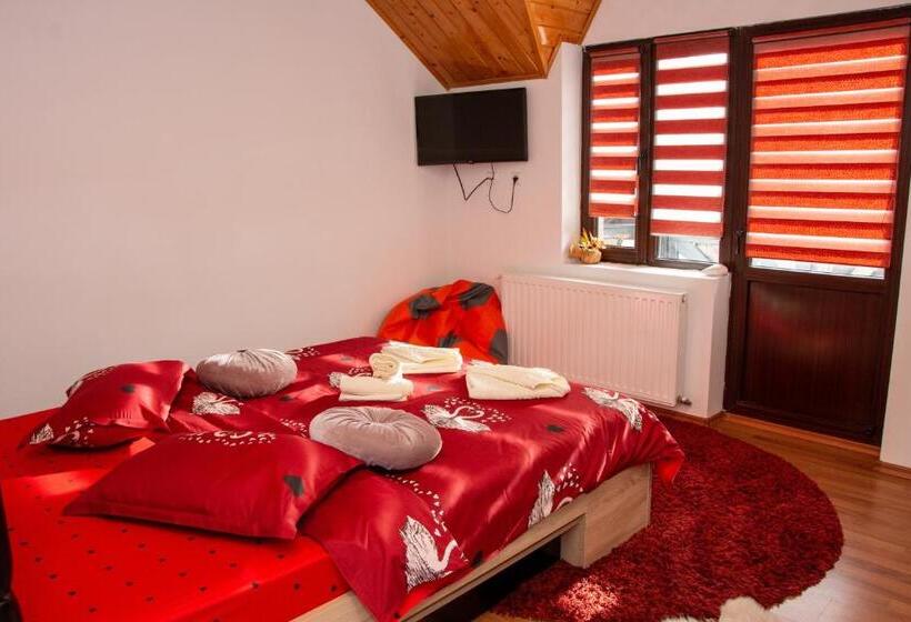 بنسيون Casa Albert Sinaia