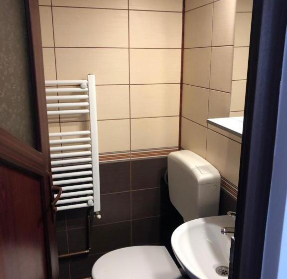 بنسيون Casa Albert Sinaia