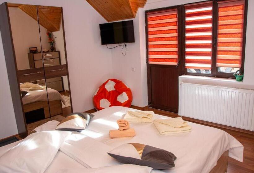 بنسيون Casa Albert Sinaia