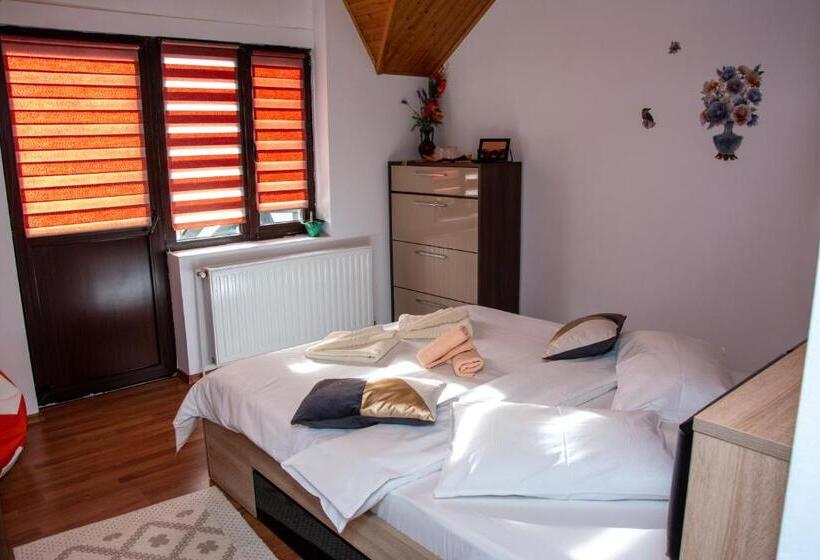 بنسيون Casa Albert Sinaia