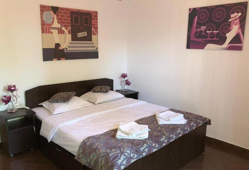 Pensionat Vila Timona