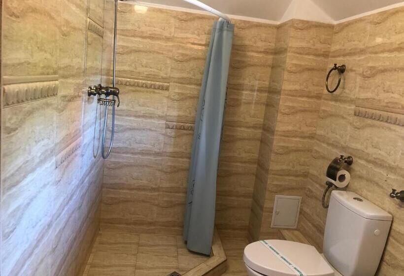 Pensionat Vila Timona