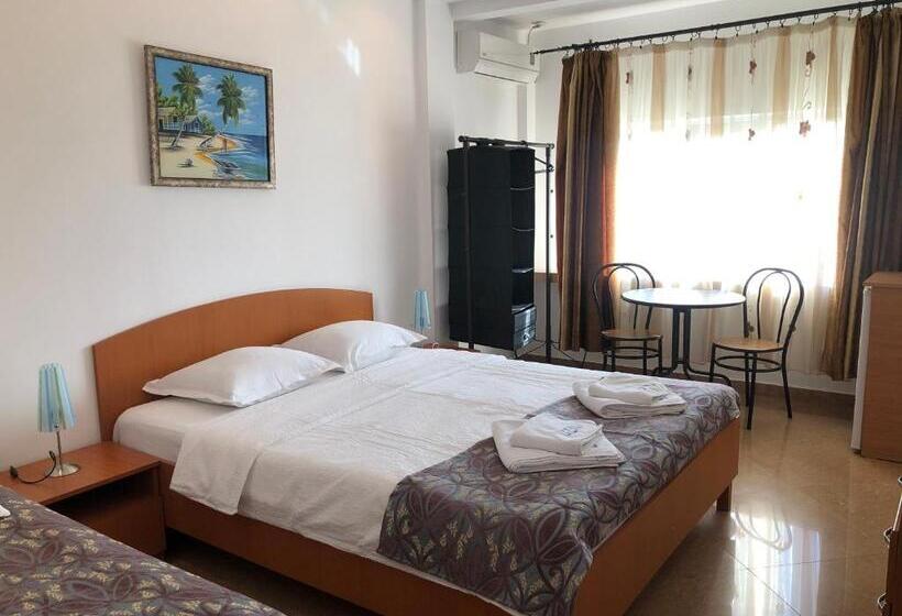 Pensionat Vila Timona