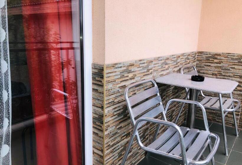 Pensionat Vila Timona