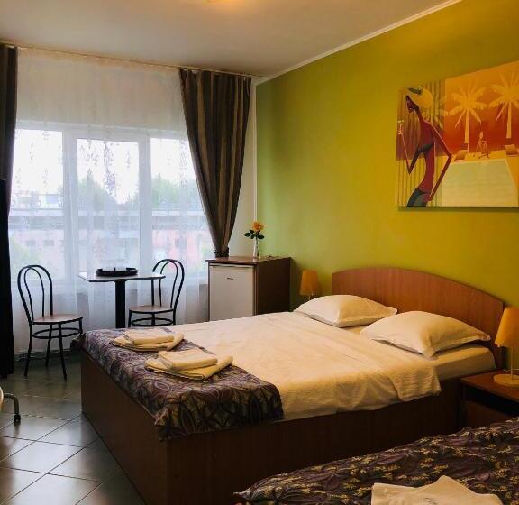 Pensionat Vila Timona