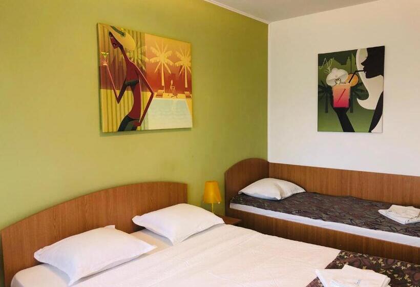 Pensionat Vila Timona