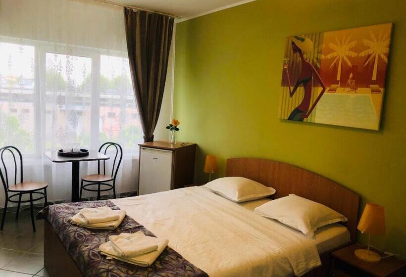 Pensionat Vila Timona