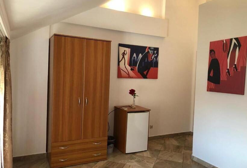 Pensionat Vila Timona