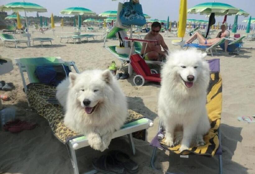 リゾートホテル Bahia 6 Pers