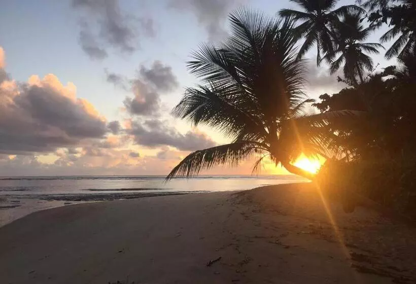 ユースホステル Pousada Vila Sereia