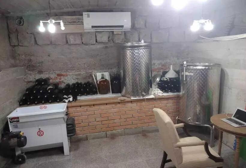 تختخواب و صبحانه Book Wine Tasting In Tbilisi