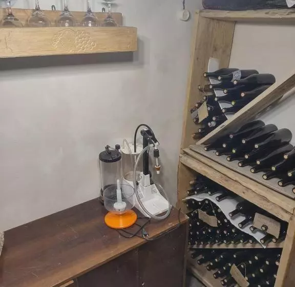 تختخواب و صبحانه Book Wine Tasting In Tbilisi