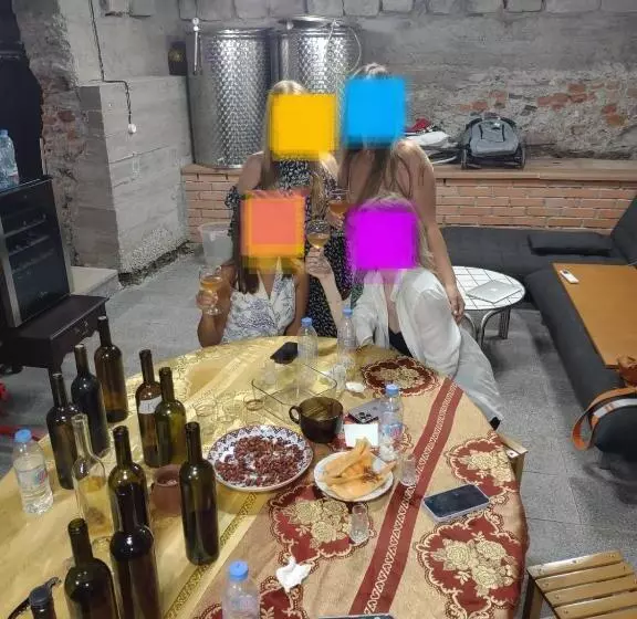تختخواب و صبحانه Book Wine Tasting In Tbilisi
