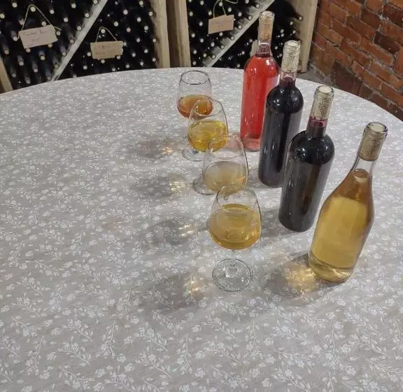 تختخواب و صبحانه Book Wine Tasting In Tbilisi
