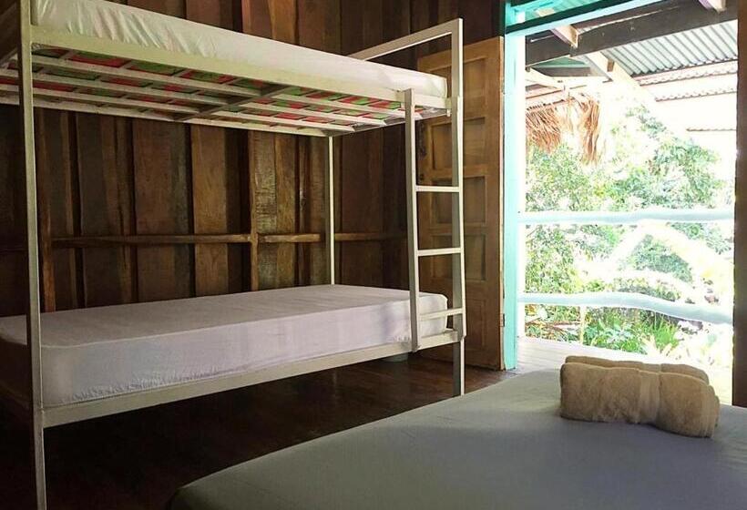 Madre Selva Hostel