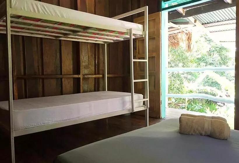 Madre Selva Hostel