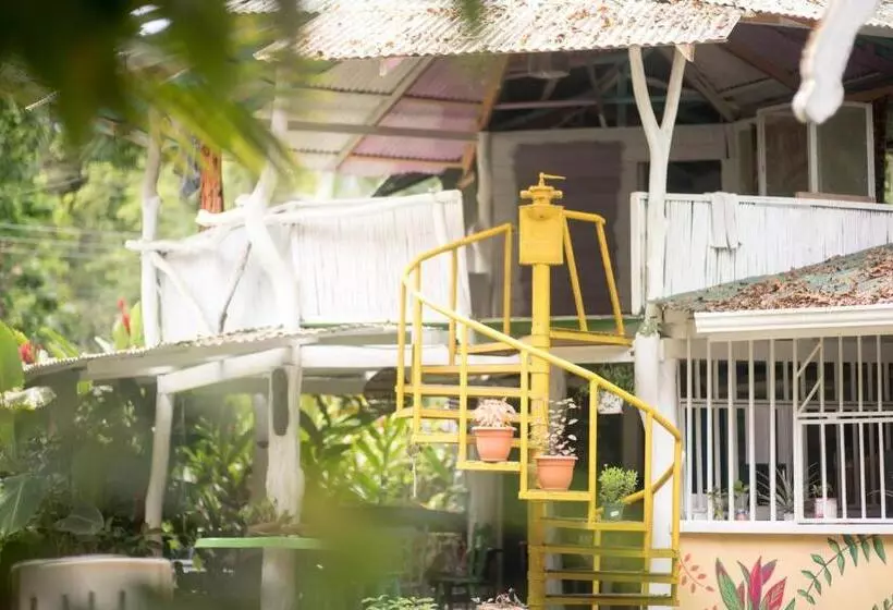 Madre Selva Hostel