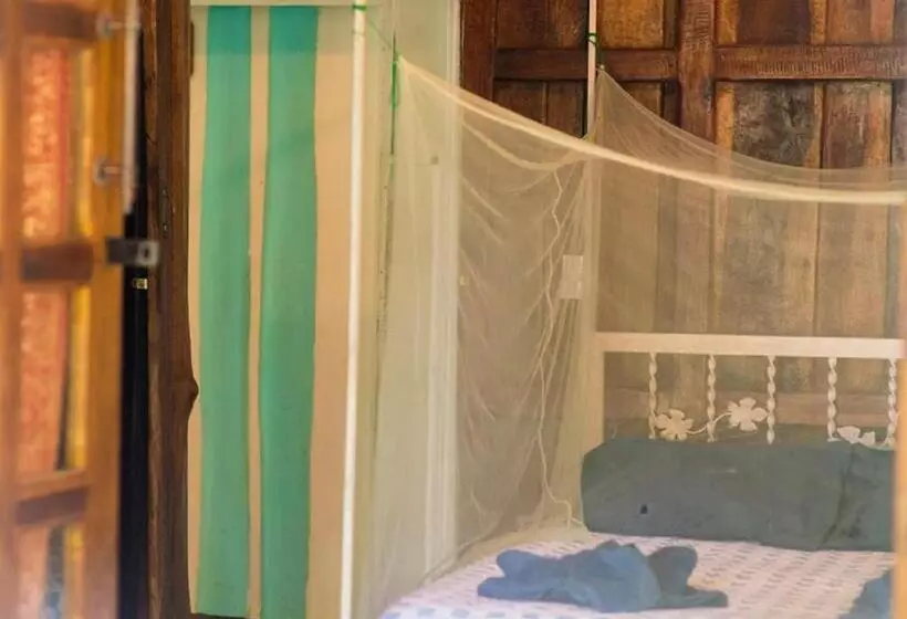 Madre Selva Hostel