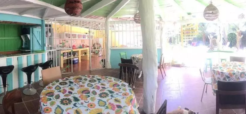 Madre Selva Hostel