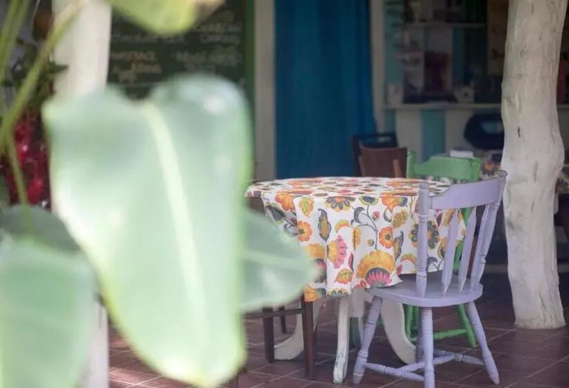 Madre Selva Hostel