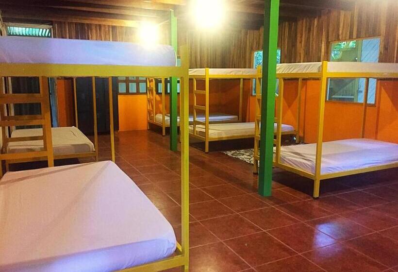Madre Selva Hostel