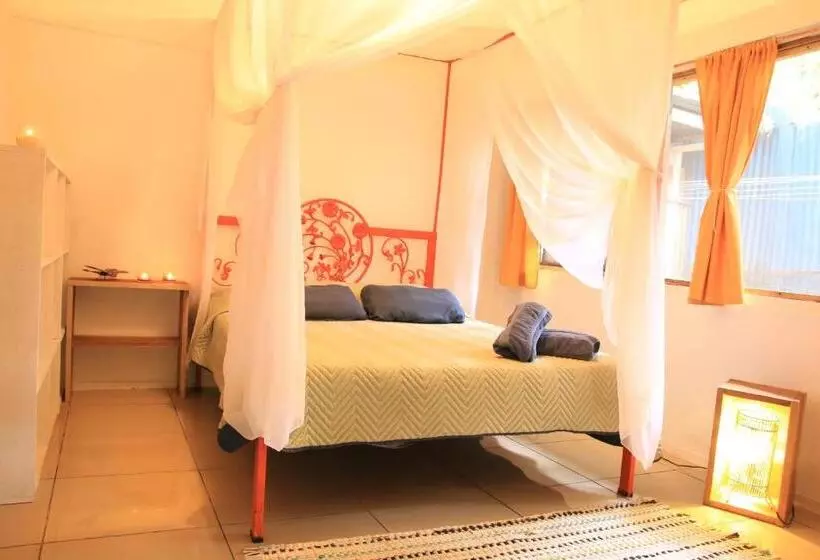 Madre Selva Hostel