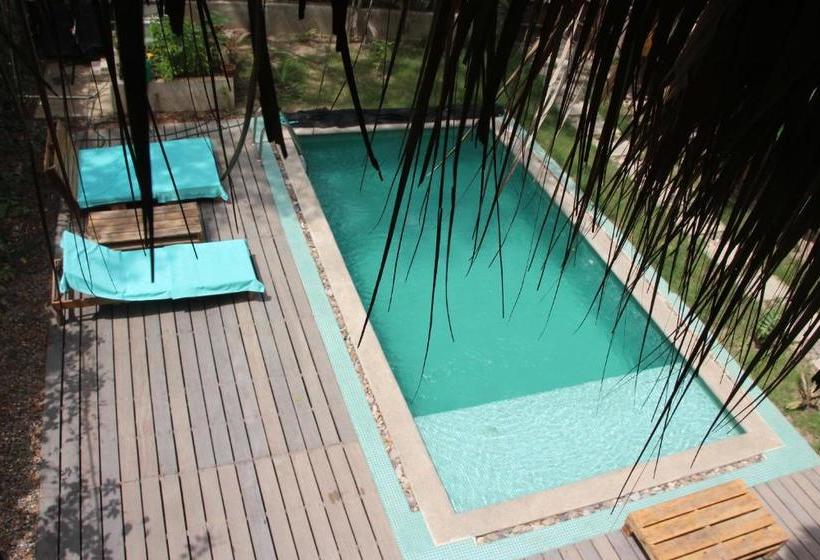 پانسیون Casa Kashiikaii