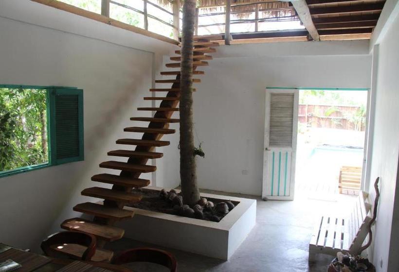 پانسیون Casa Kashiikaii