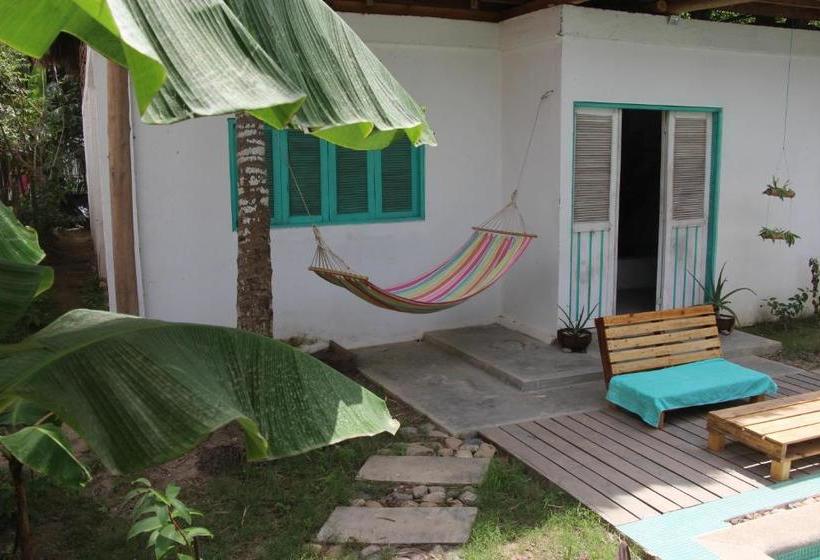 پانسیون Casa Kashiikaii