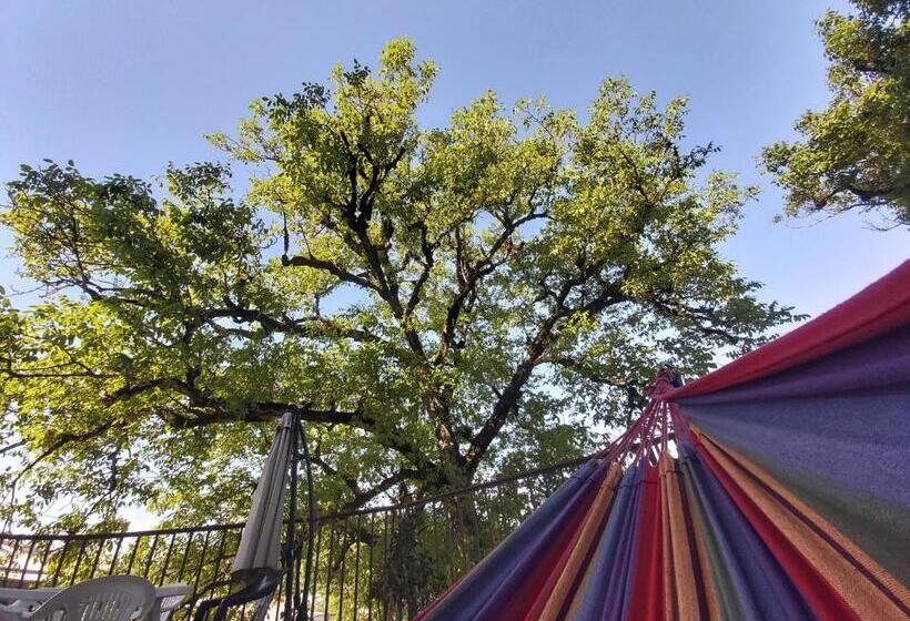 پانسیون Guest House Royal Comfort With Terrace