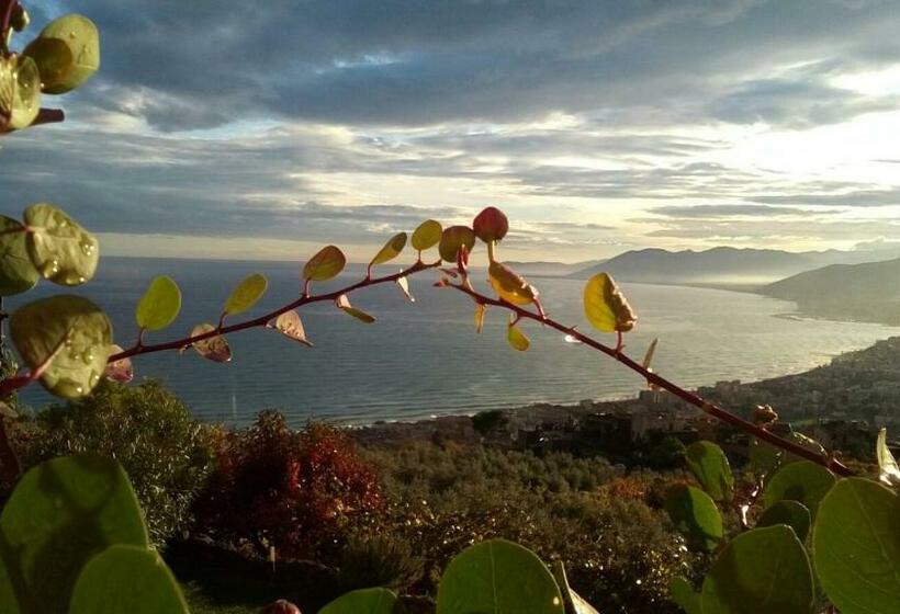 پانسیون La Rosa Dei Venti