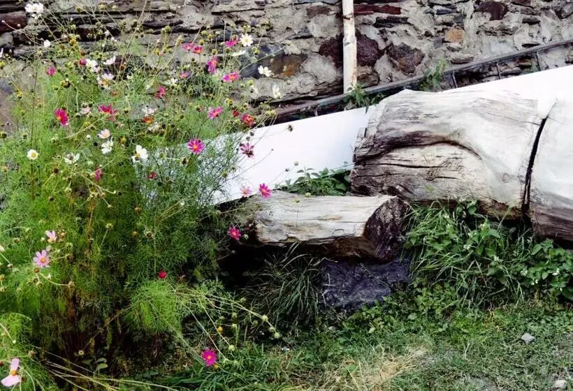 هاستل Nino Khetaguri Guest House