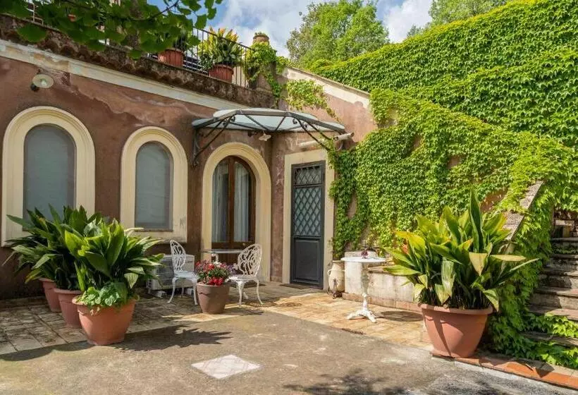 B&b Bellini