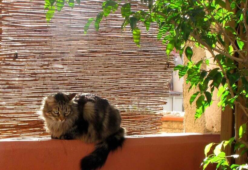 Bed and Breakfast Hostal Poblenou