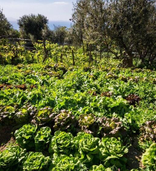 هتل Agriturismo Antico Casale Colli Di San Pietro