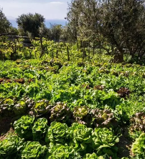 ホテル Agriturismo Antico Casale Colli Di San Pietro