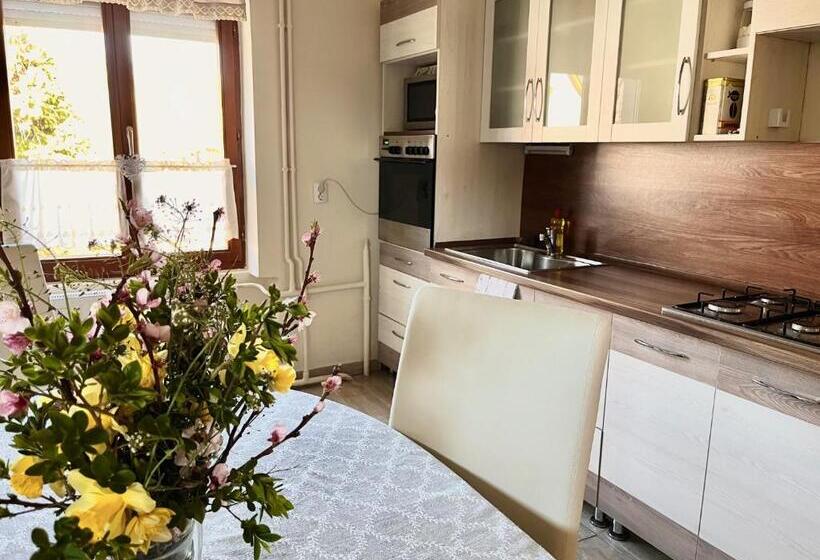 بنسيون Borbarátok Vendègház