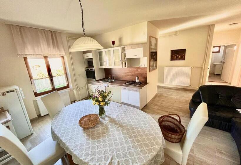 بنسيون Borbarátok Vendègház