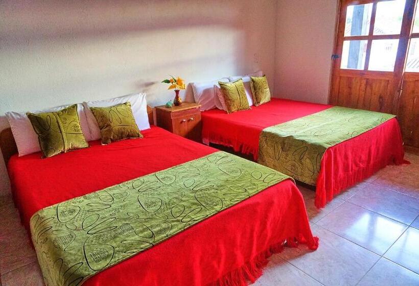 פנסיון Casa De Huéspedes Faletto