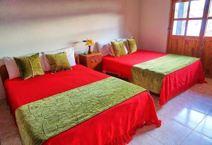 Majatalo Casa De Huéspedes Faletto