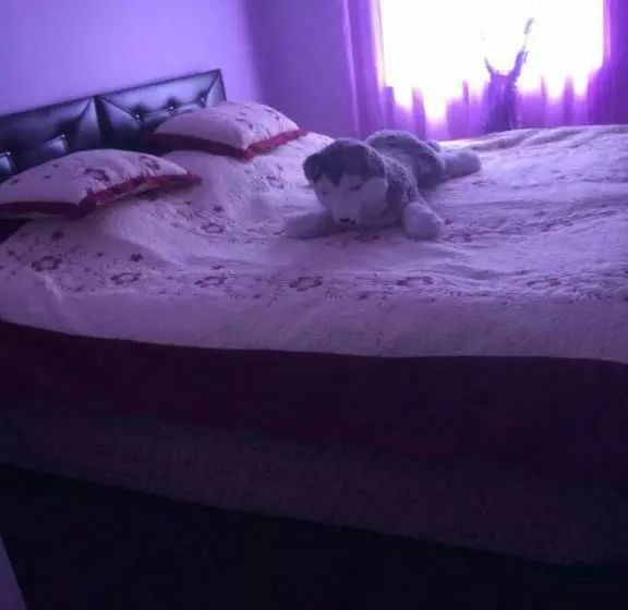 پانسیون надежда