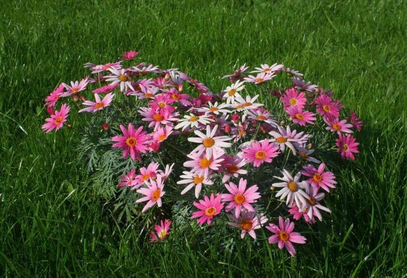 پانسیون Magdaléna Vendégház