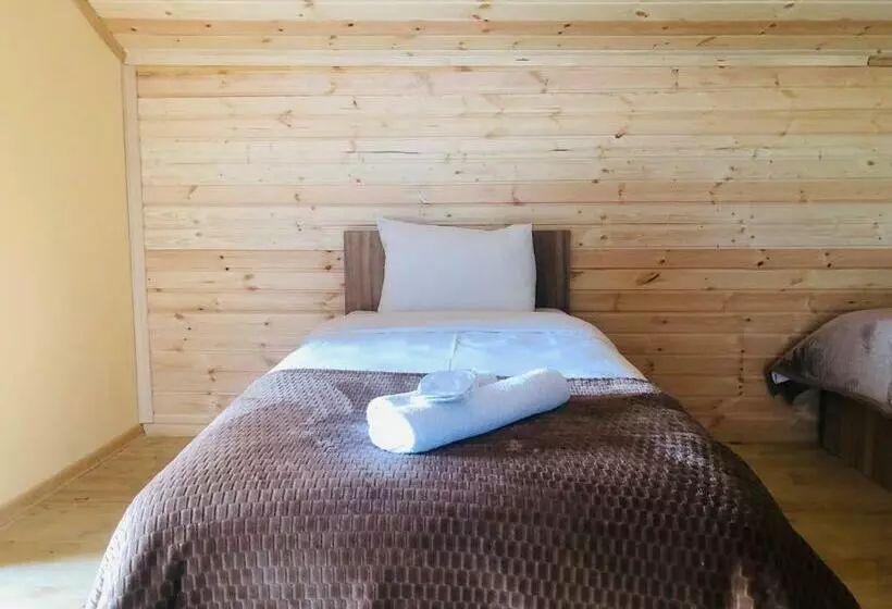 پانسیون Nestt