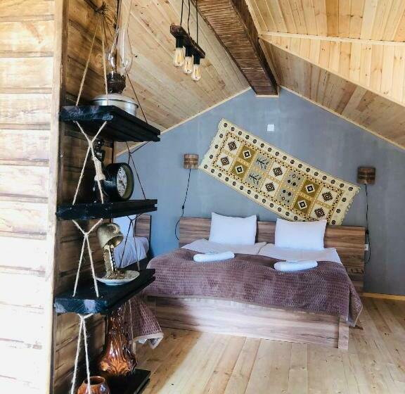 پانسیون Nestt