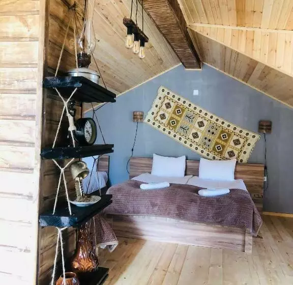 پانسیون Nestt