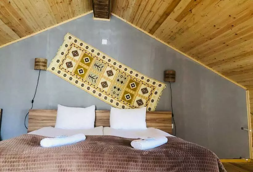 پانسیون Nestt