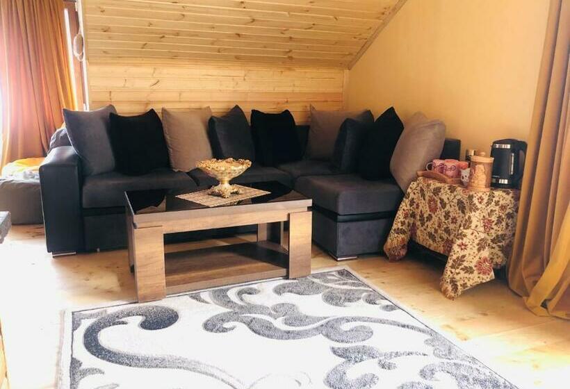 پانسیون Nestt