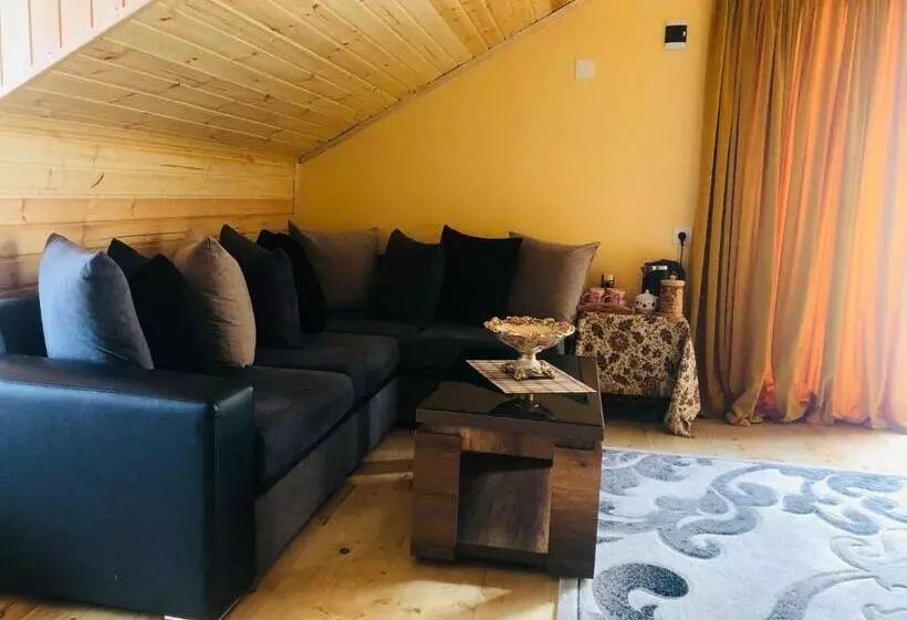 پانسیون Nestt