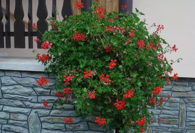 Majatalo Németh Vendégház