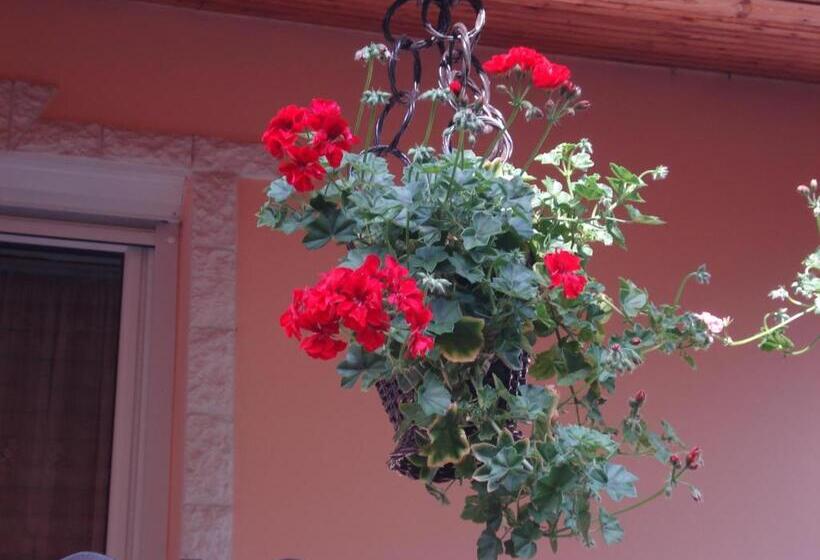 פנסיון Németh Vendégház